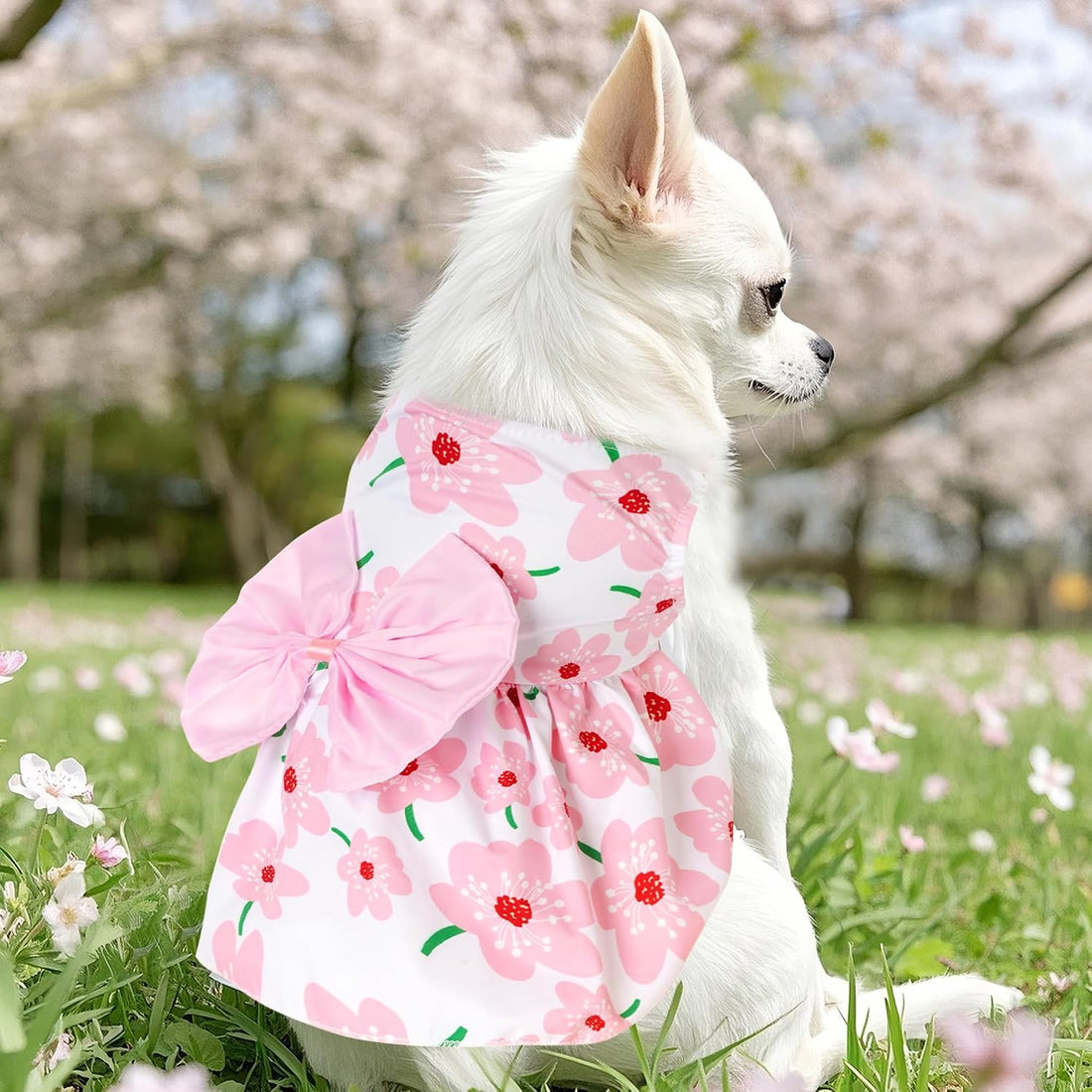 choyaxo Floral Dog Dress Cute Dog Skirt Pet Dress Summer Pet Clothes
