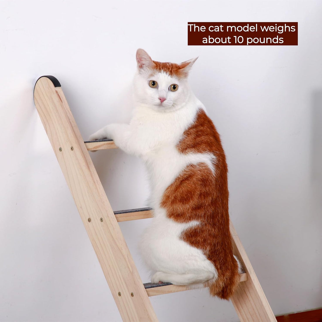 SHENGOCASE Solid Wood Wall Leaning Cat Ladder for Indoor Cats