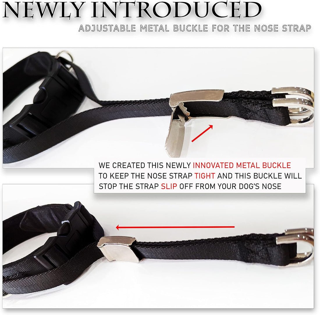 PetsProMax Dog Headcollar for Pulling & Reactive Dogs