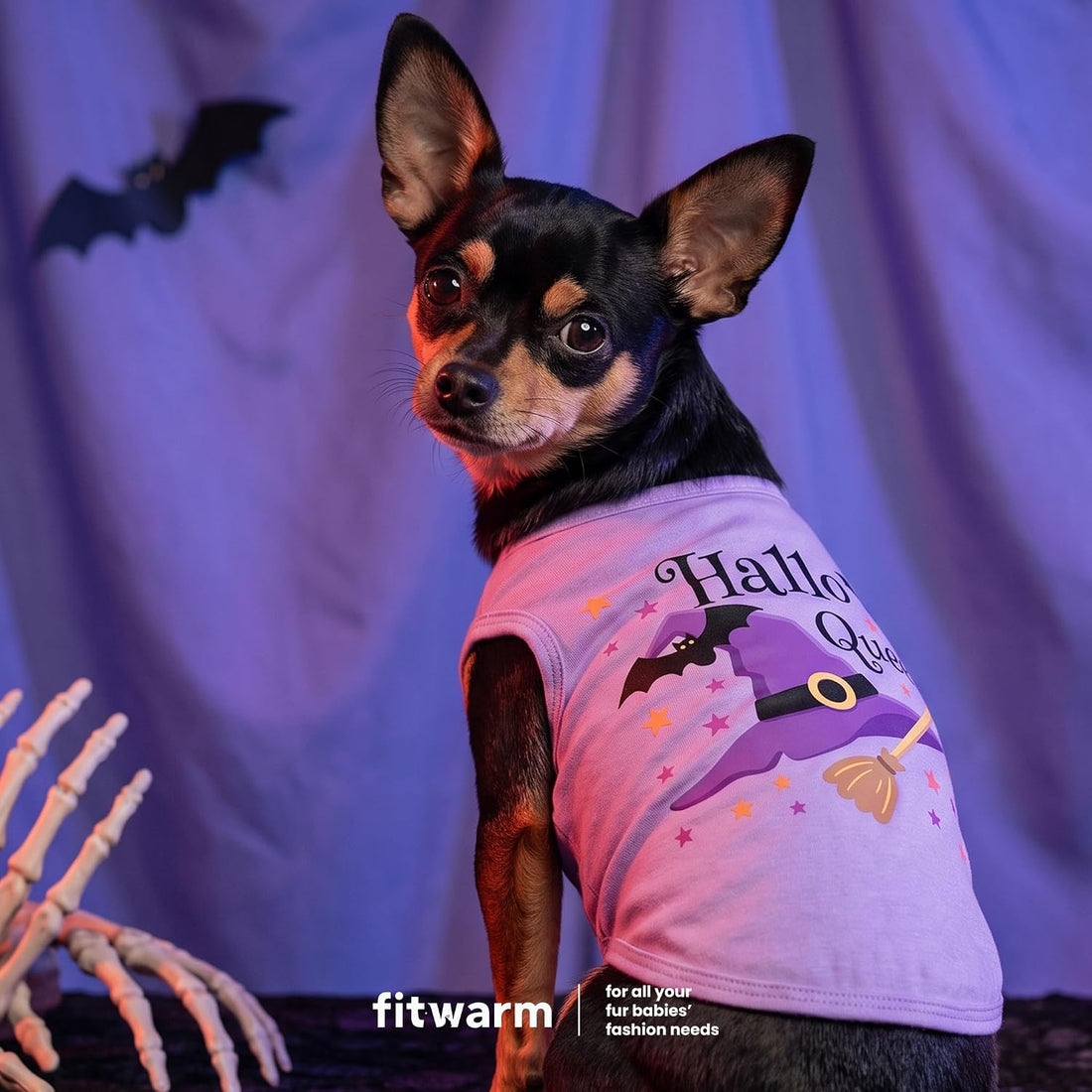 Fitwarm Cutest Pumpkin in the Patch Dog Shirt for Small & Medium Dogs