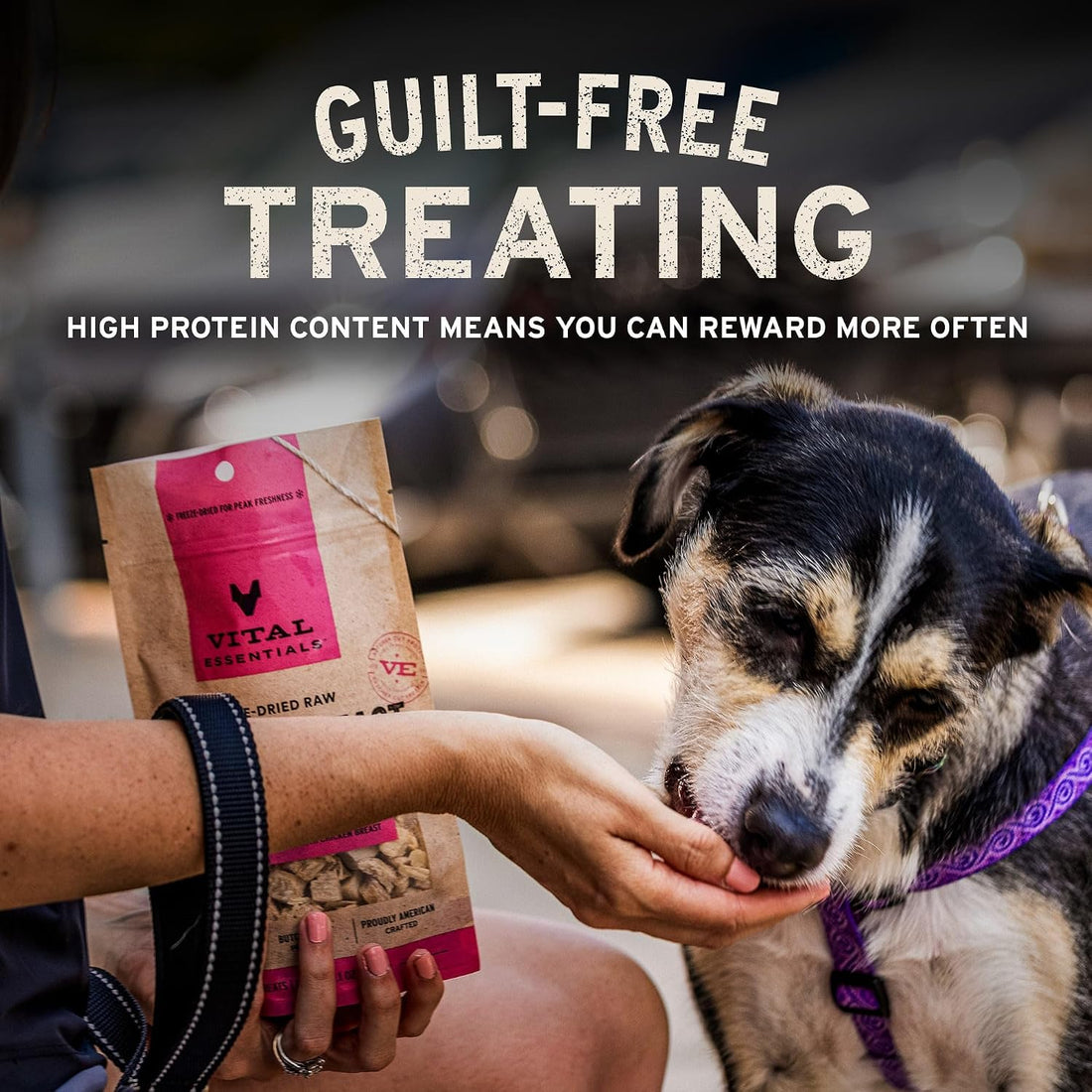 Vital Essentials Freeze Dried Minnows Dog Treats | Single Ingredient