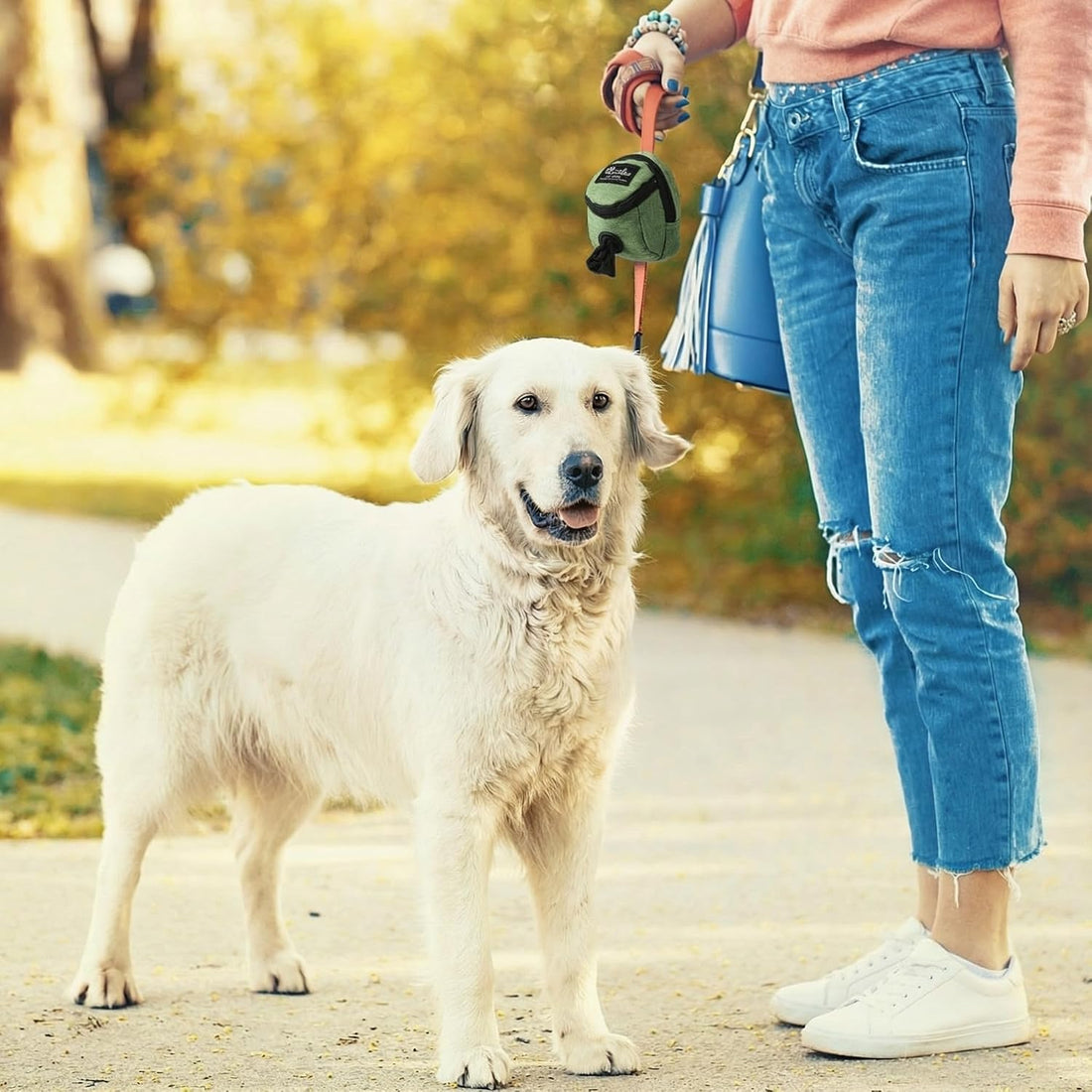 Talltalk 2 Pieces Dog Treat Pouch Pet Dog Poop Holder Dispenser