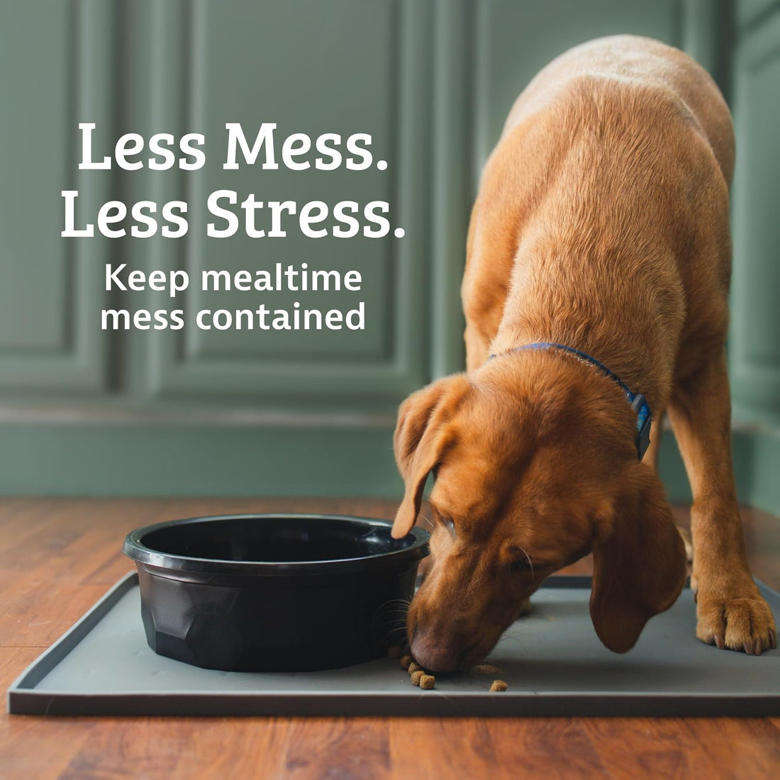 Leash Boss Rectangular Silicone Pet Feeding Mat, Raised Edge, 18 x 11