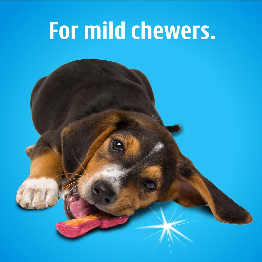 Hartz Chew 'n Clean Dental Duo Dog Treat & Chew Toy, Color Varies