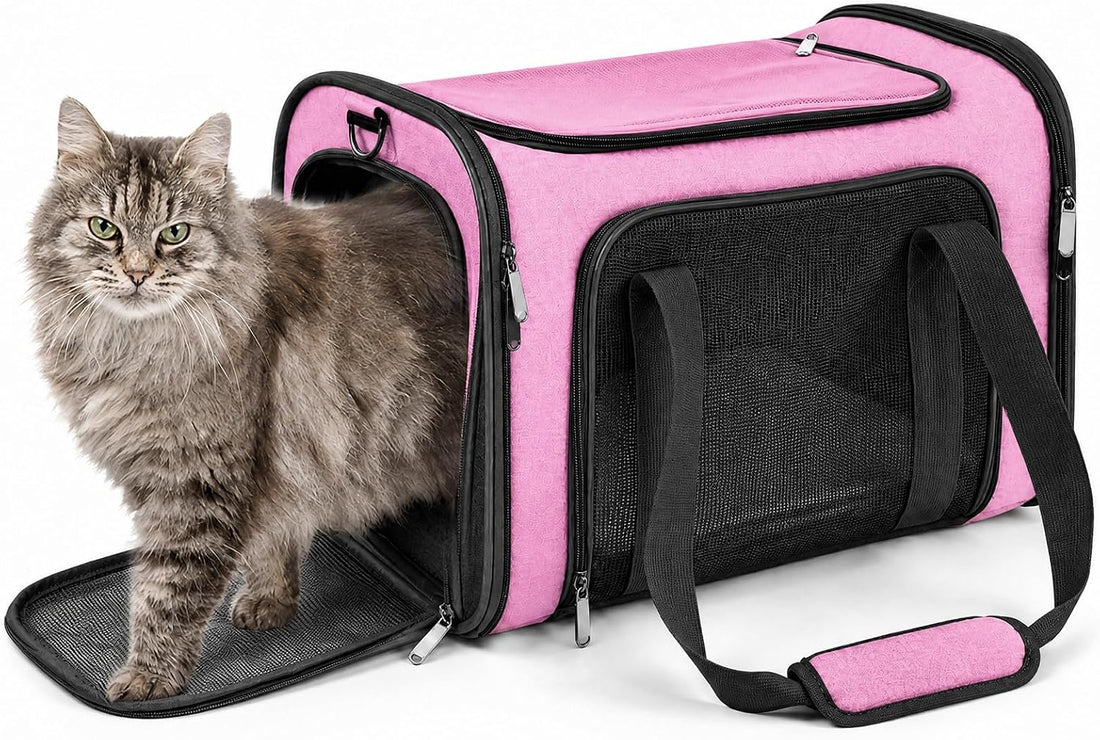 COZPAW Large Cat Carrier Soft‑Sided for Cats & Dogs Up to 25 Lbs