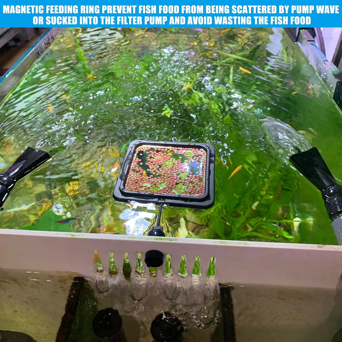 Magnetic Fish Feeding Ring, Floating Aquarium Feeder Ring for Fish