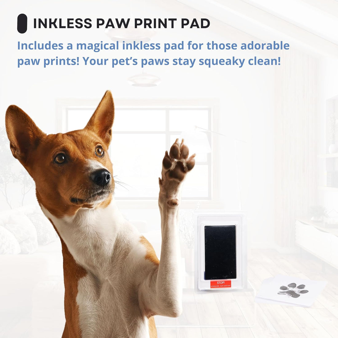 OtterPets Dog Paw Print Kit for Dogs
