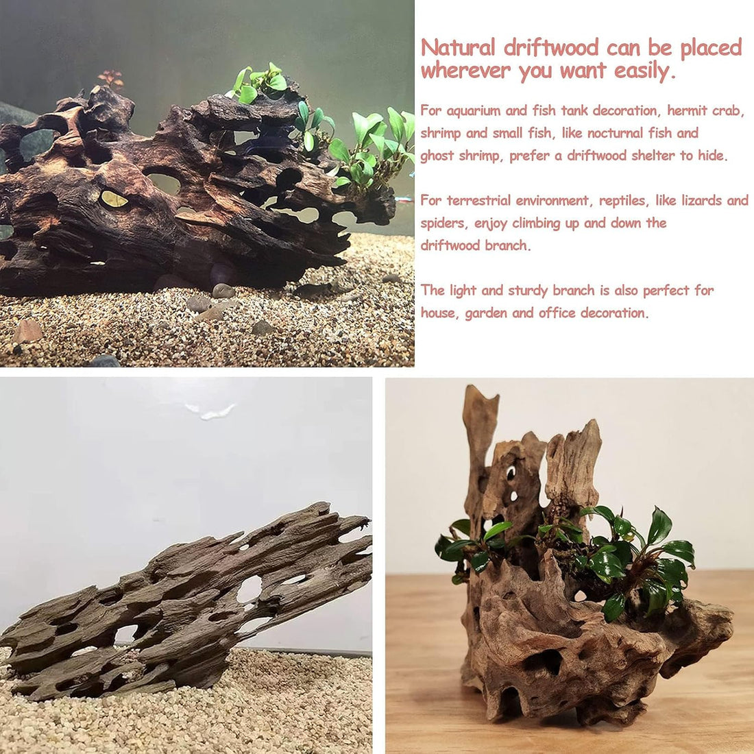 kathson Aquarium Large Driftwood Natural Wood Assorted Branches Fish