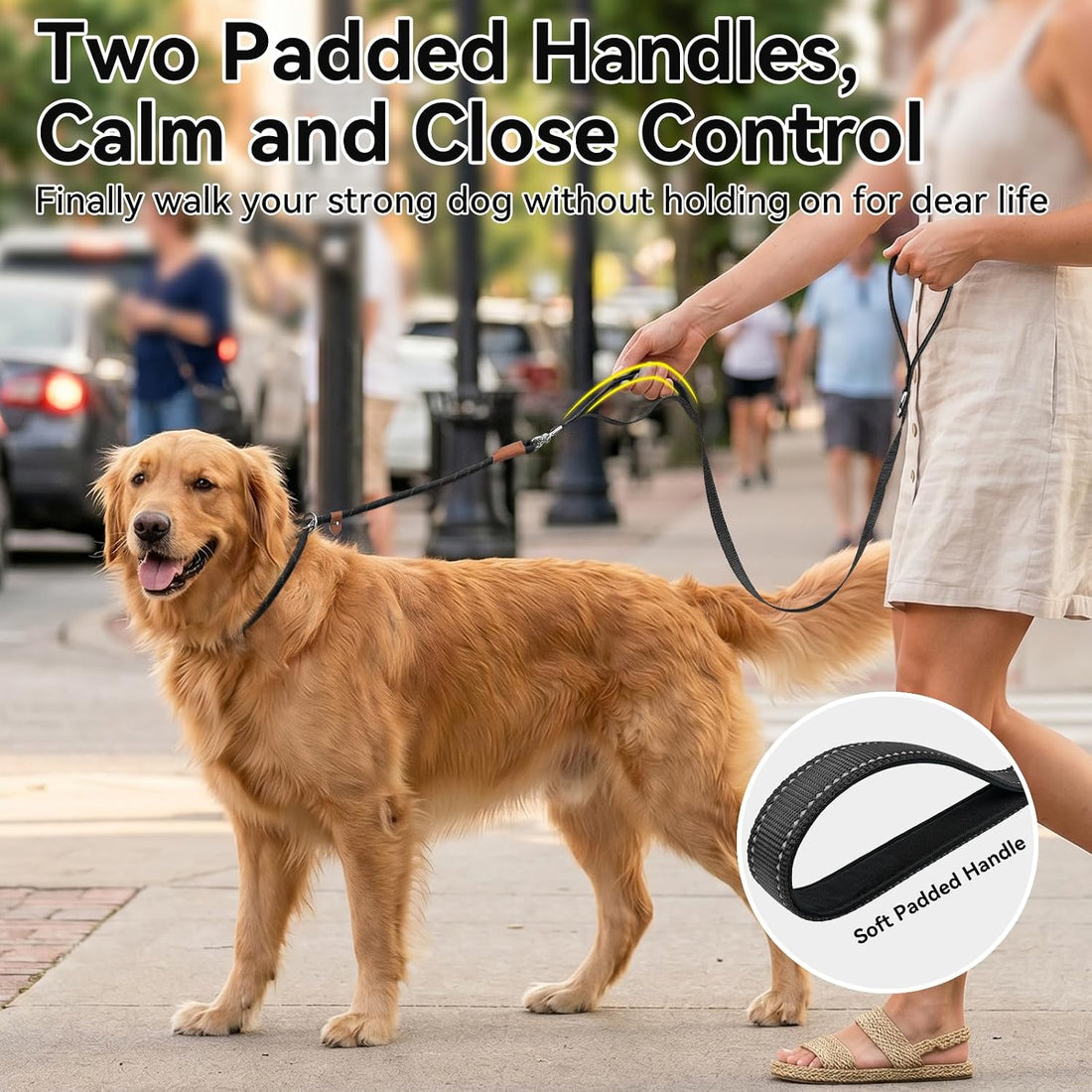 Joytale Slip Lead Dog Leash with Dual Handle, No Pull, Black