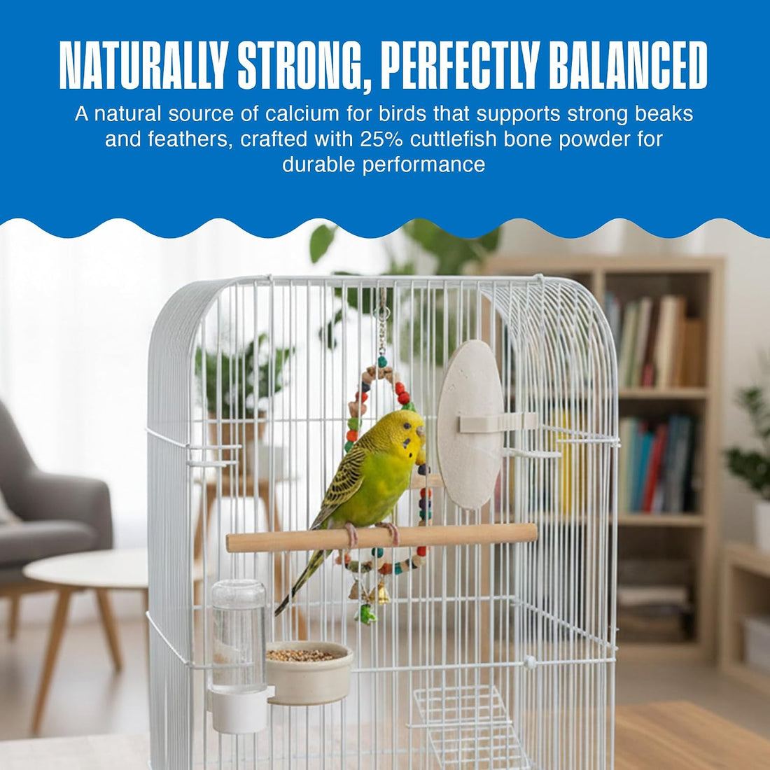 Penn-Plax Bird-Life E-Cuttlebone Natural, 1 Pk (2 Counts) - White