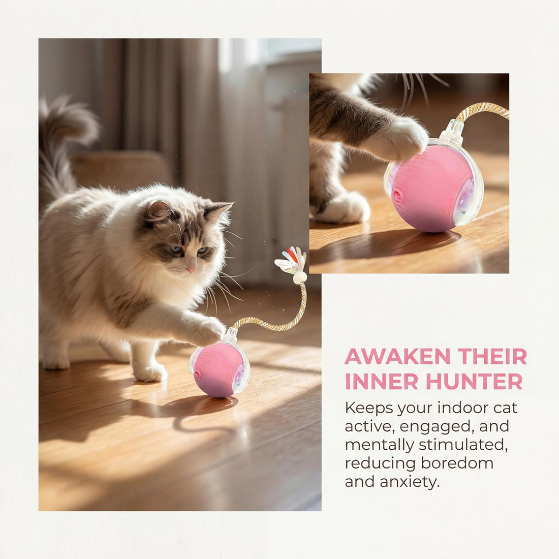 Interactive Cat Toy Ball, Automatic Cat Toys for Indoor Cats with 3