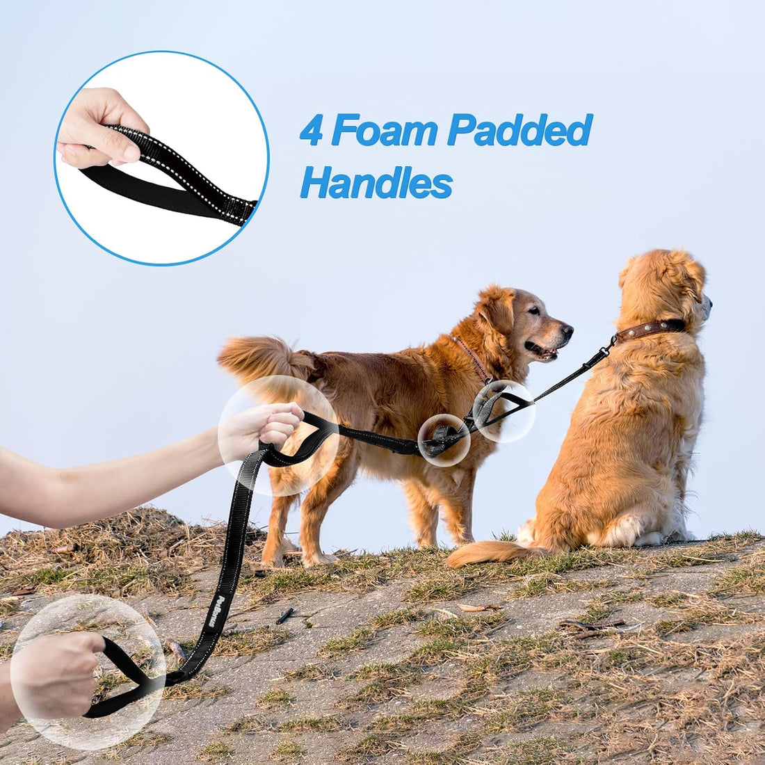 PetBonus Double Dog Leash, No Tangle Dual Leash