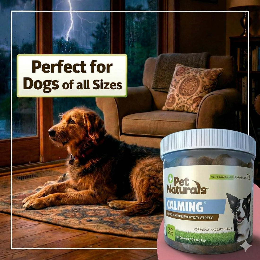 Pet Naturals Calming Chews for Medium and Large Dogs, Chicken