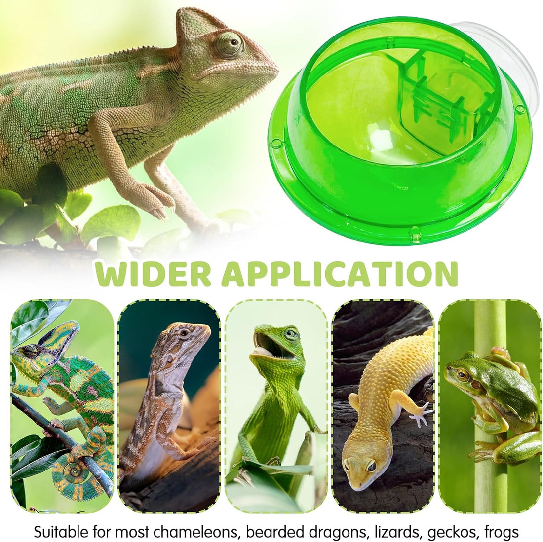 Tfwadmx Chameleon Bowl, Reptile Feeding Feeder,Worm Live Fodder