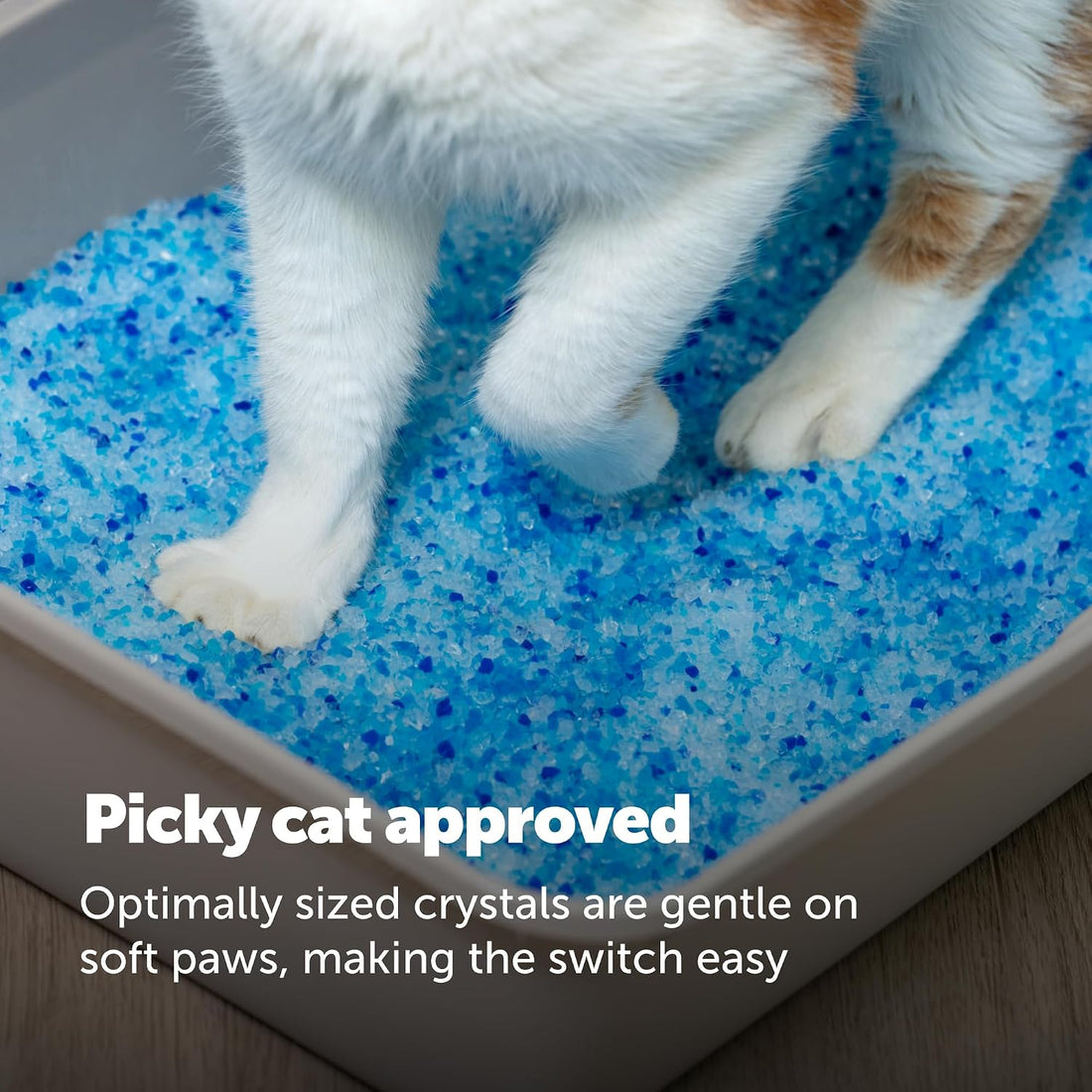 PetSafe ScoopFree Odor Control Crystal Cat Litter, Fresh Scent