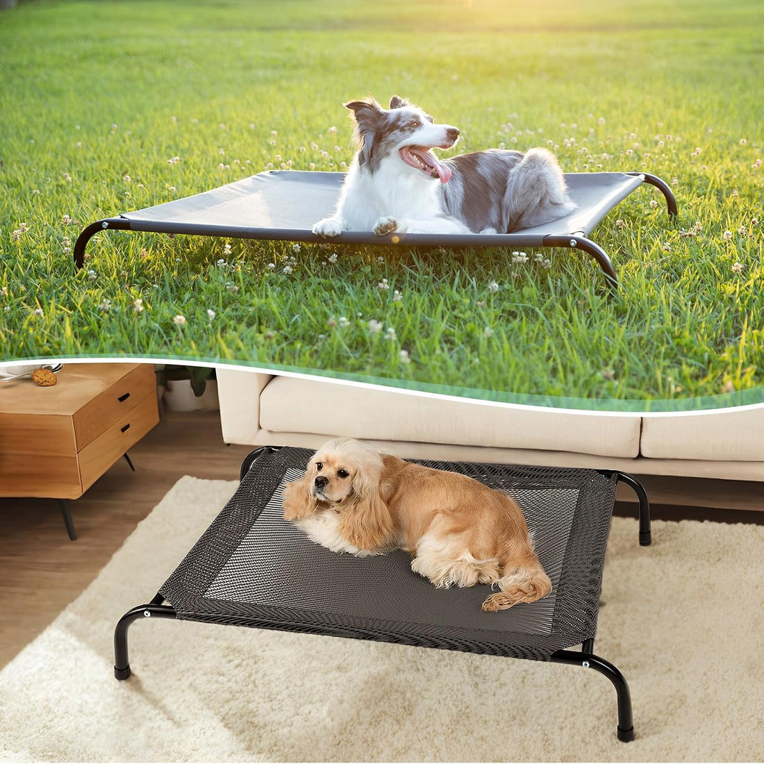 SIEMOUR 50" Lx32 Wx8 H Cooling Elevated Dog Bed for Large Dogs