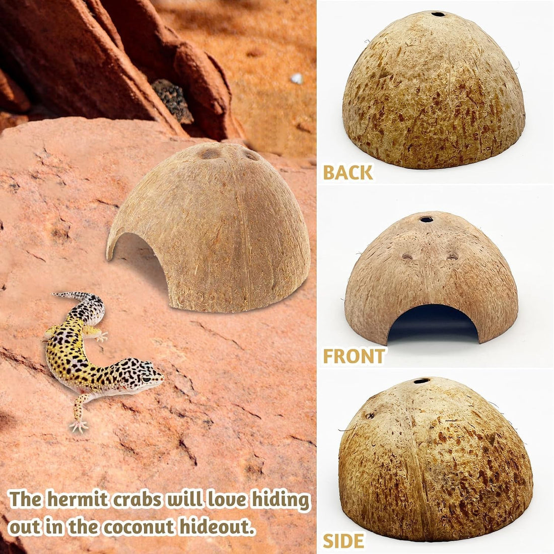 PINVNBY 2 PCS Natural Coconut Reptile Hideouts Lizard Coco Hut Hermit
