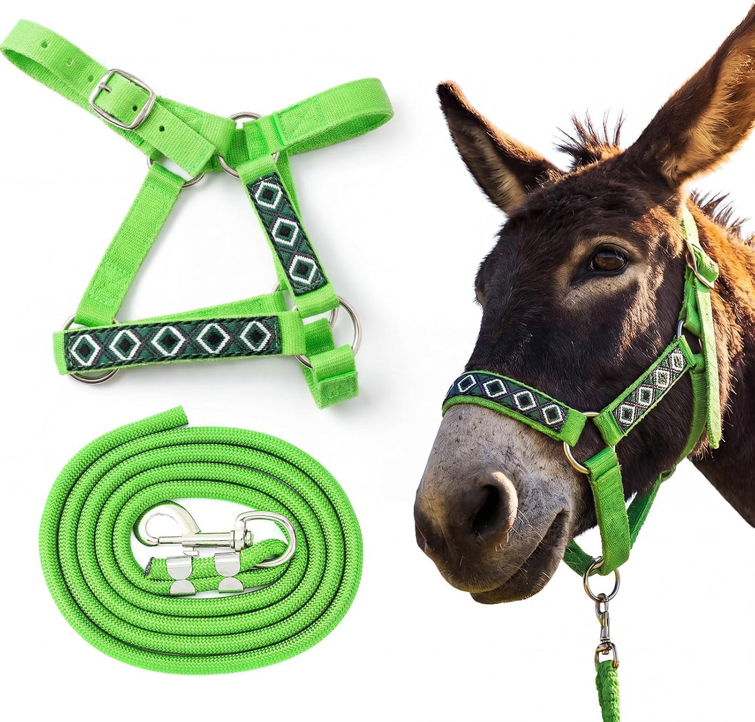 1 Set Mini Donkey Halter with Lead Rope Adjust