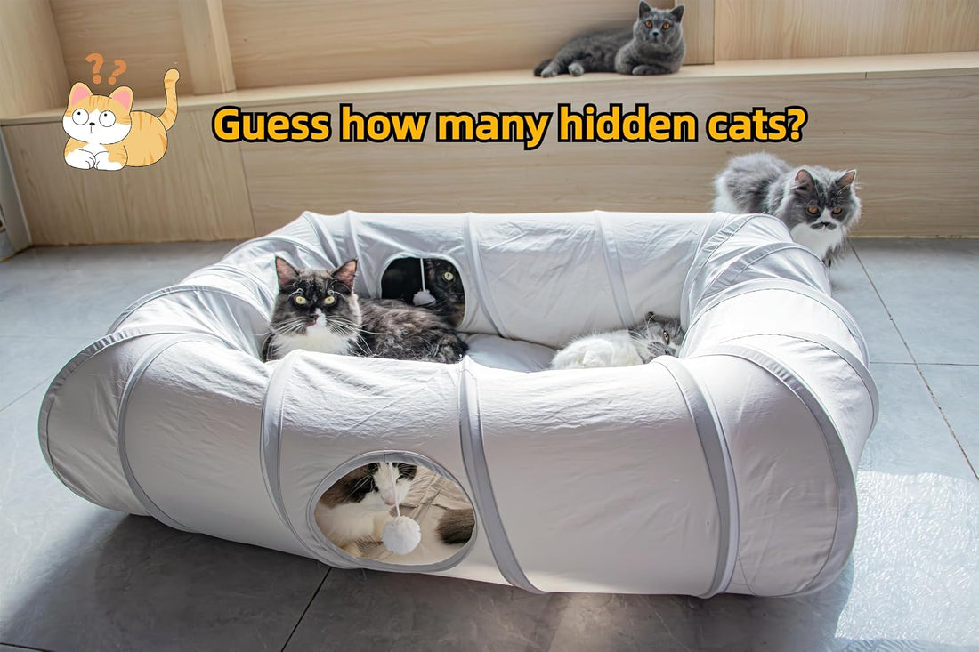 XxingSheep 4 Ways Shuttled XL Cat Tunnel Bed for Indoor Cats Peekaboo