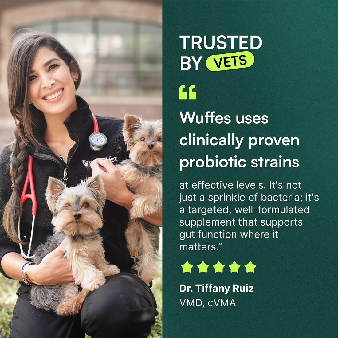 Wuffes Daily Probiotic for Dogs - Supports Digestive Health