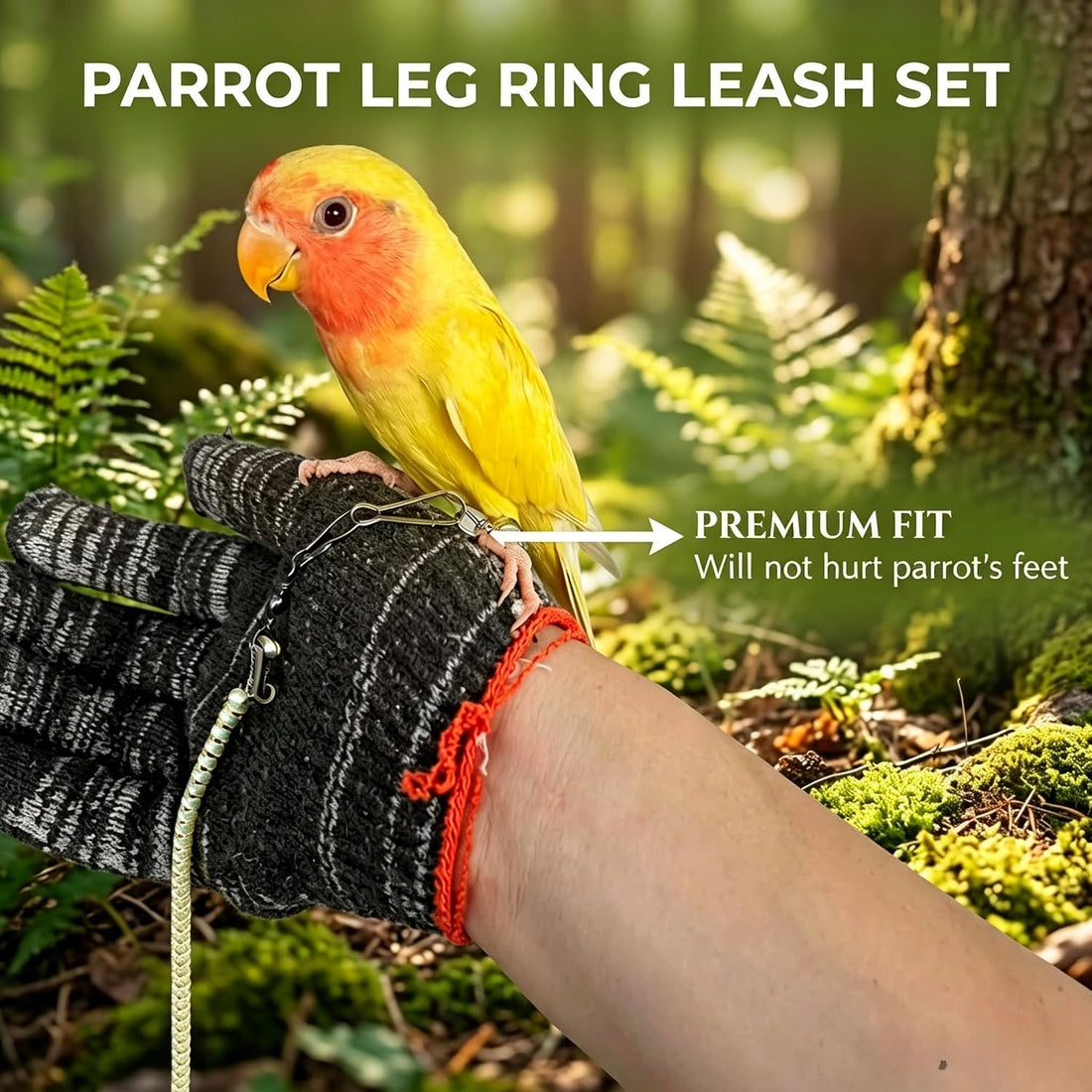 Dual-Use Bird Harness & Bungee Leash Set w/Wings, 3 Rings, Yellow