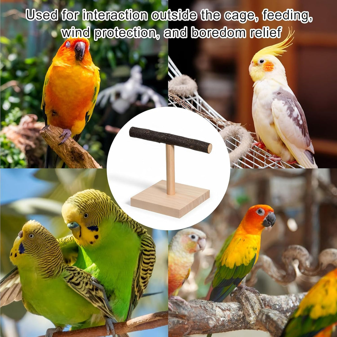 Bird Perch Stand Bird Training Stand Portable Tabletop Parrot Stands