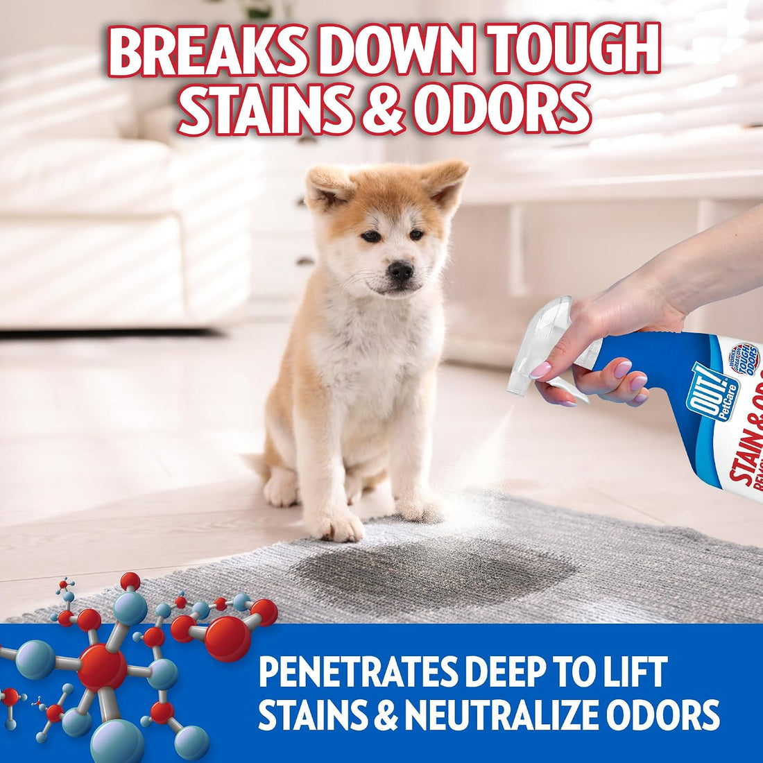OUT! Pet Stain & Odor Remover, 32 oz, USA Made