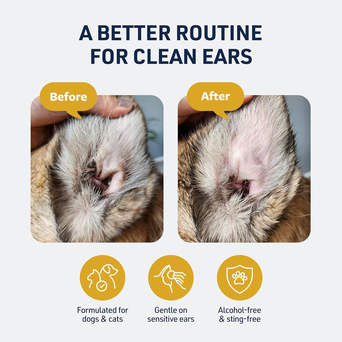 Veterinary Formula Clinical Care Ear Therapy, 4 oz.