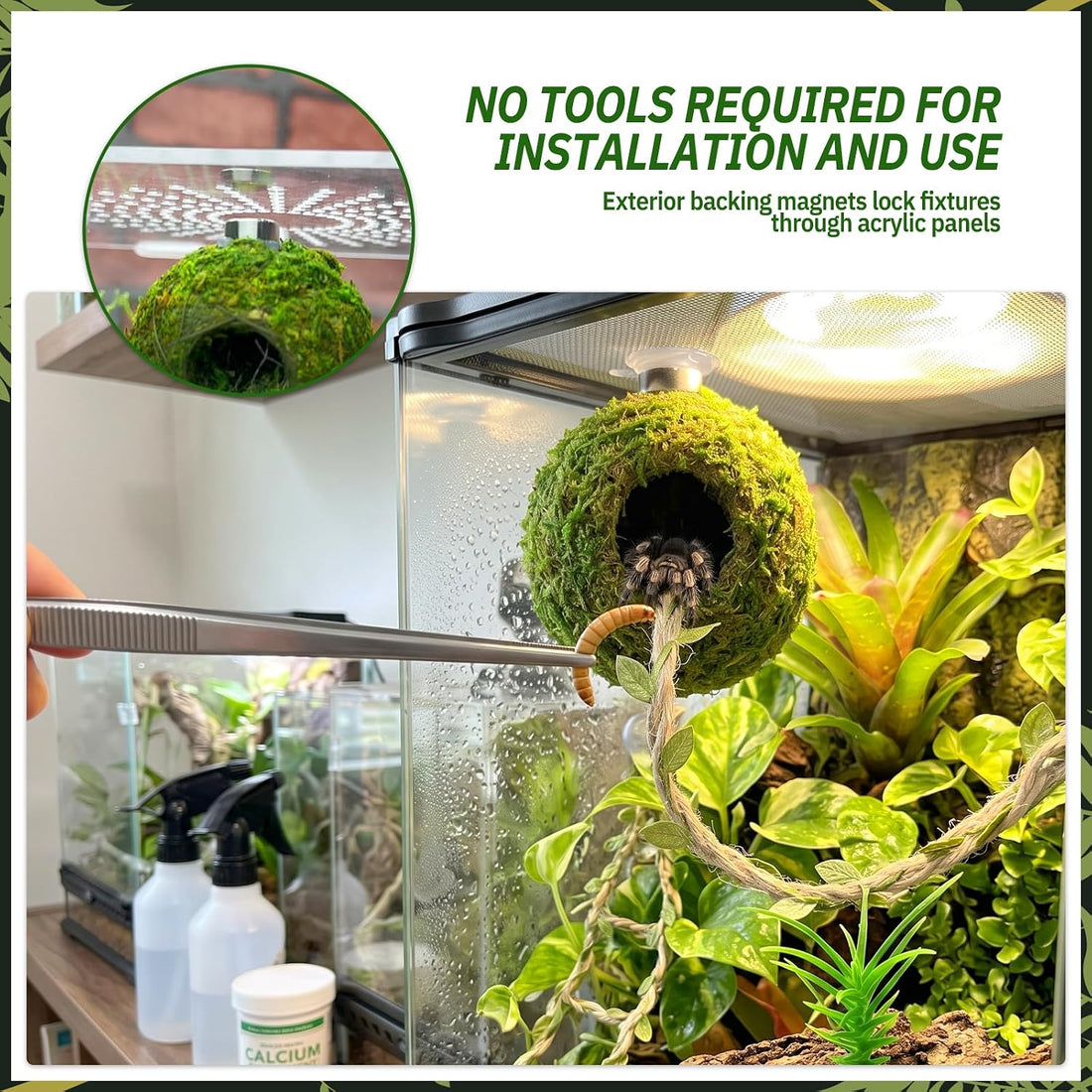 Magnetic Jumping Spider Accessories - Hideout Ball with Wood Shelter