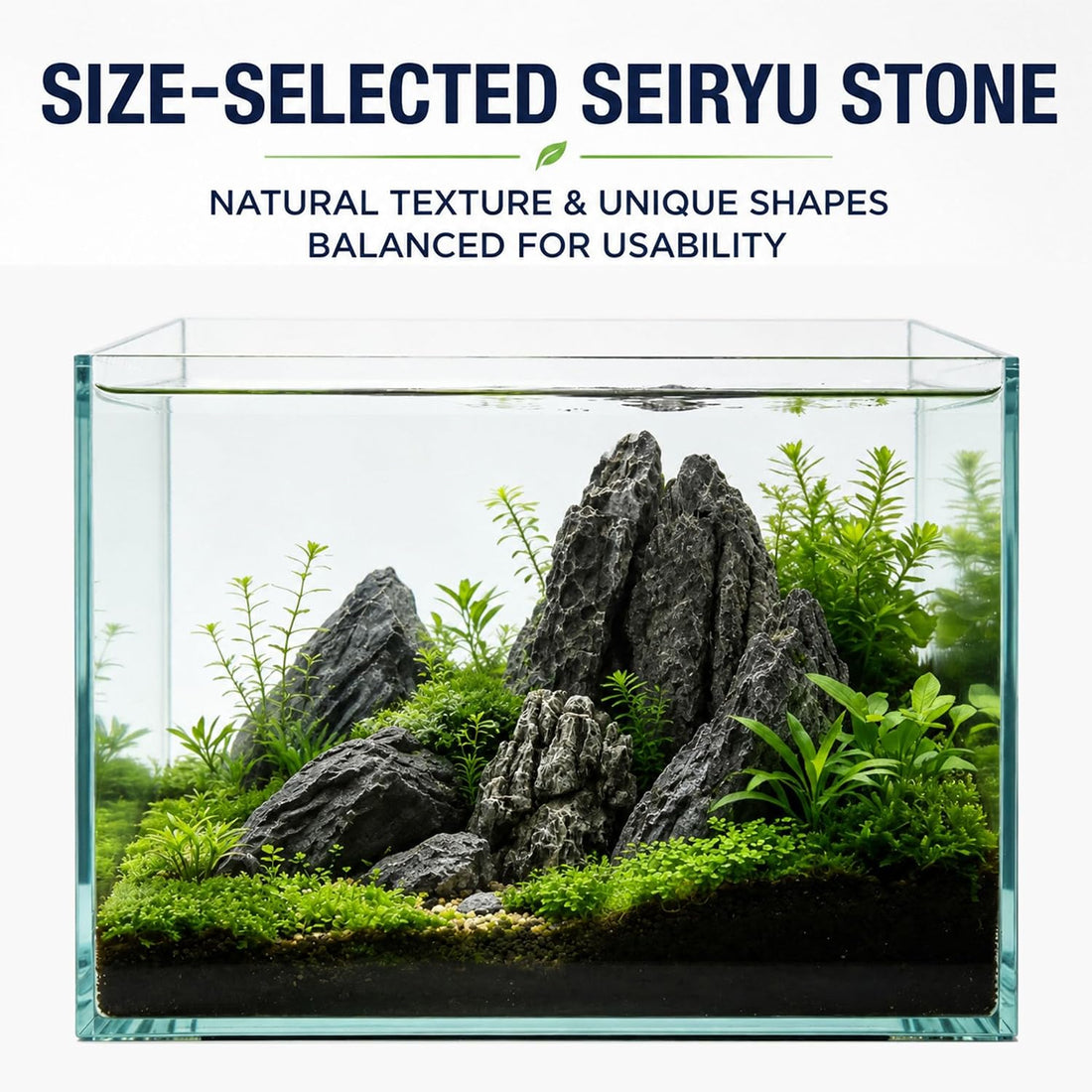 Seiryu Stone Aquascaping Rocks, 1 lb (2-4"), Aquarium Stone Set