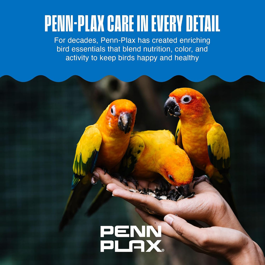 Penn-Plax Bird-Life 2-in-1 E-Cuttlebone & Mineral Block