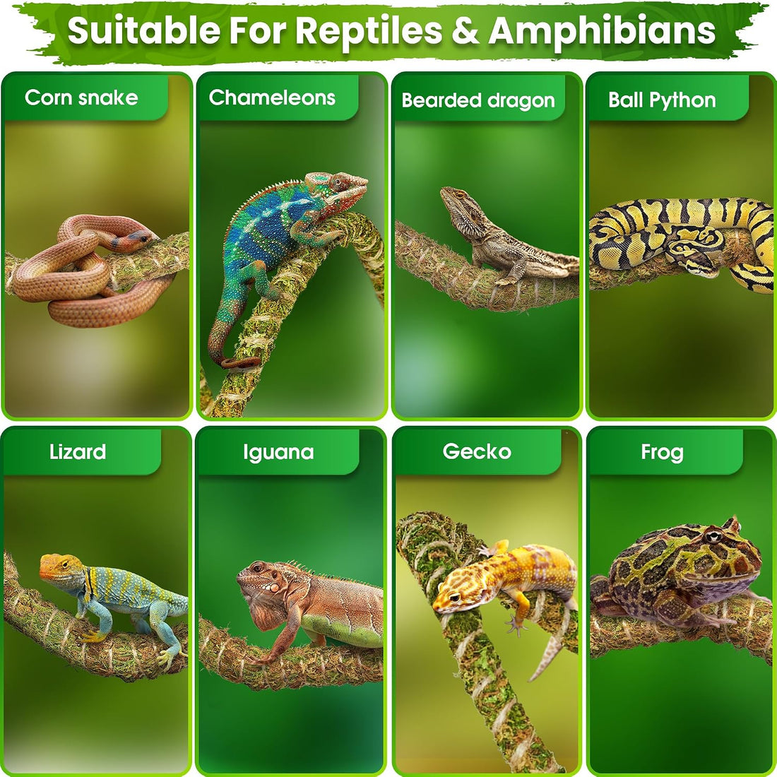 Duspro 10FT Reptile Vines for Climbing, Bendable Branch for Reptile