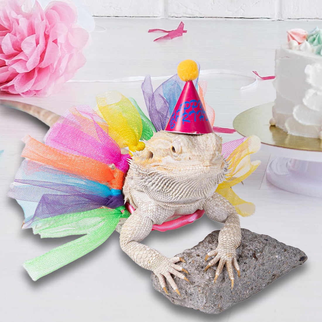 15Pcs Bearded Dragon Hats & Lizard Adjustable Tutu Skirt Set