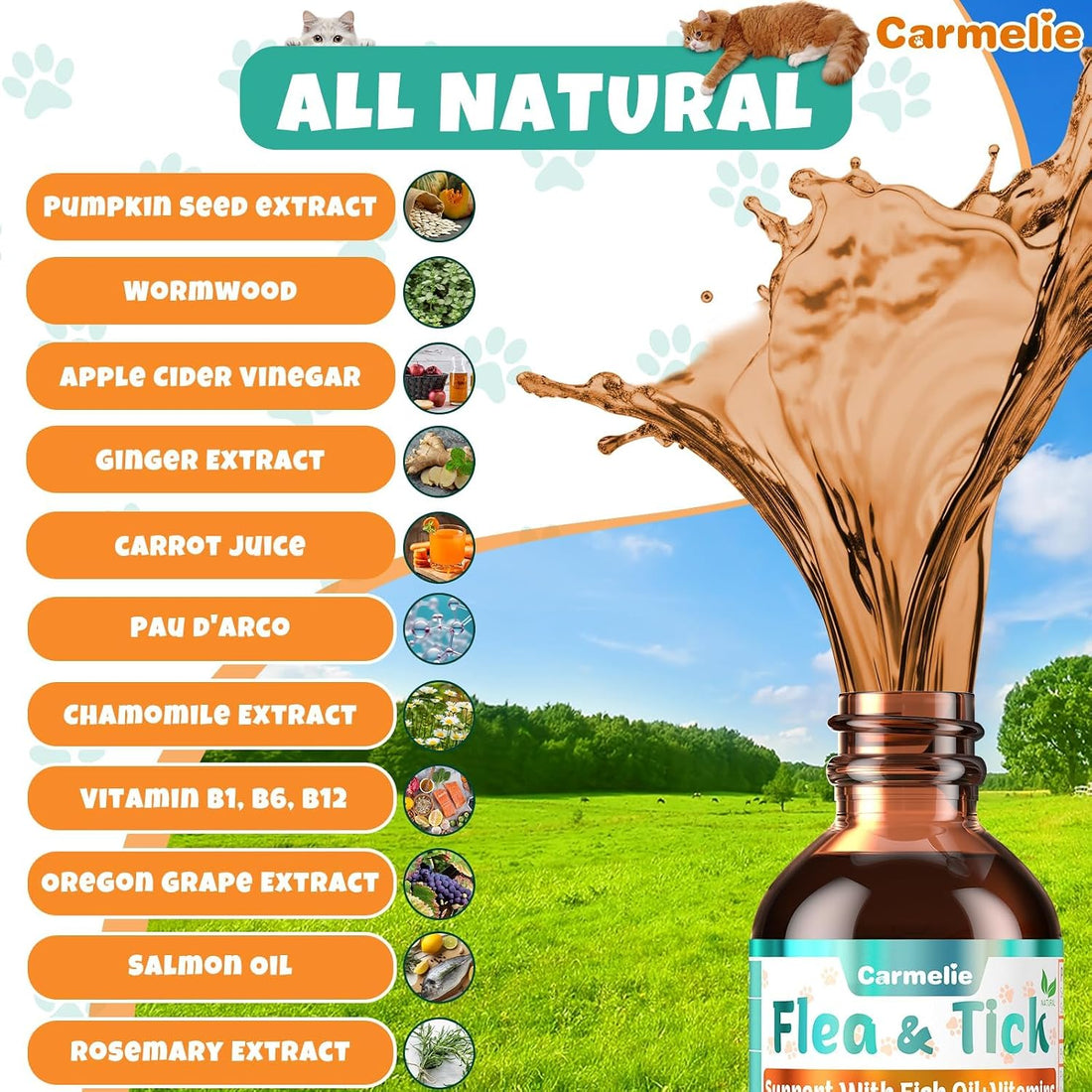 Flea and Tick Prevention for Cat