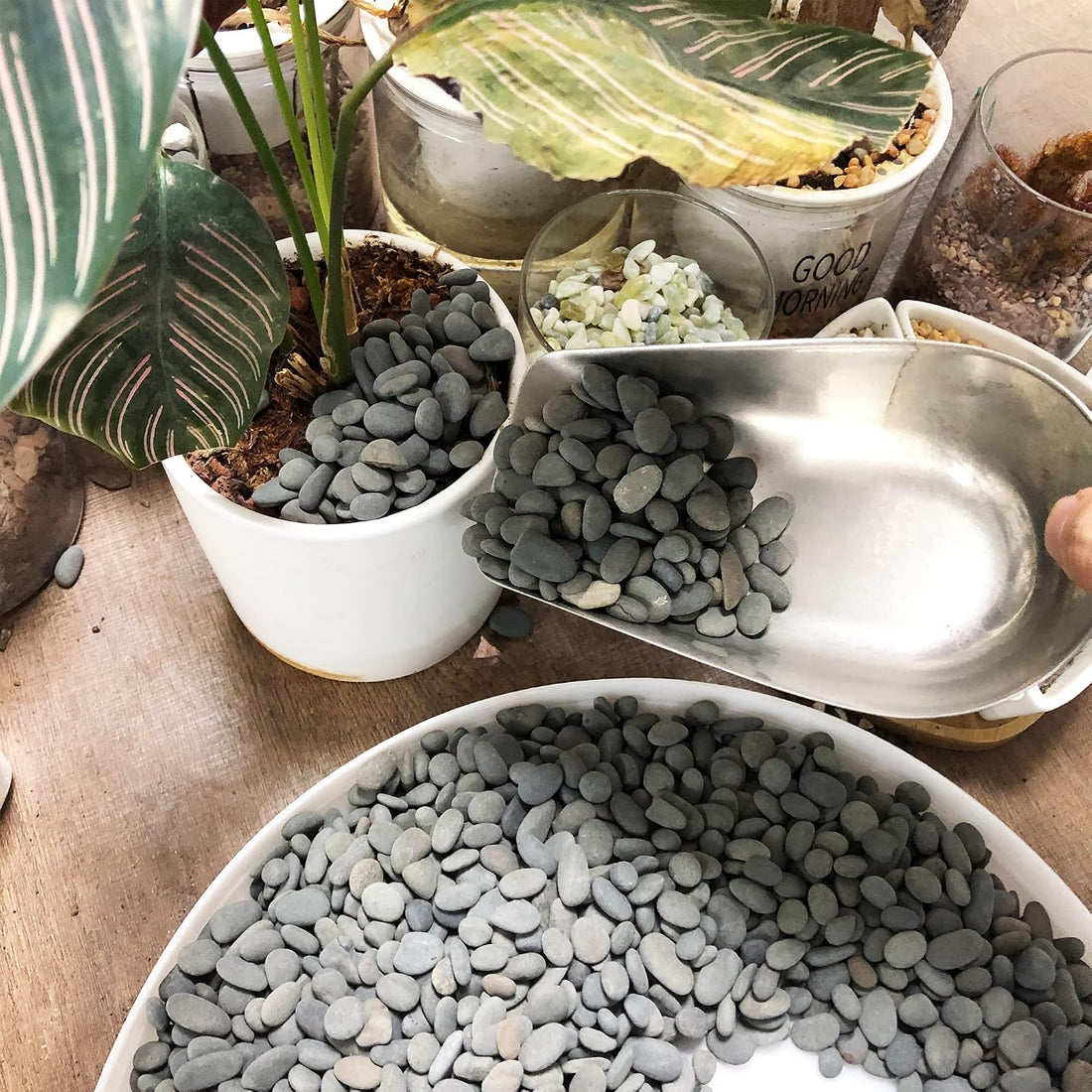 Black Rock, CJGQ 18lb River Rocks Pebbles for Plants Succulents