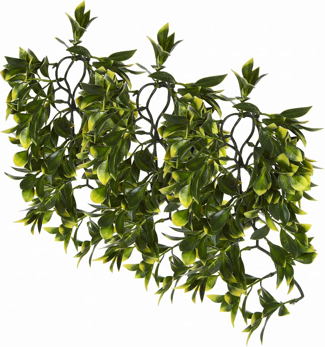 Hagen Exo Terra Plastic Terrarium Plant, Small, Amapallo