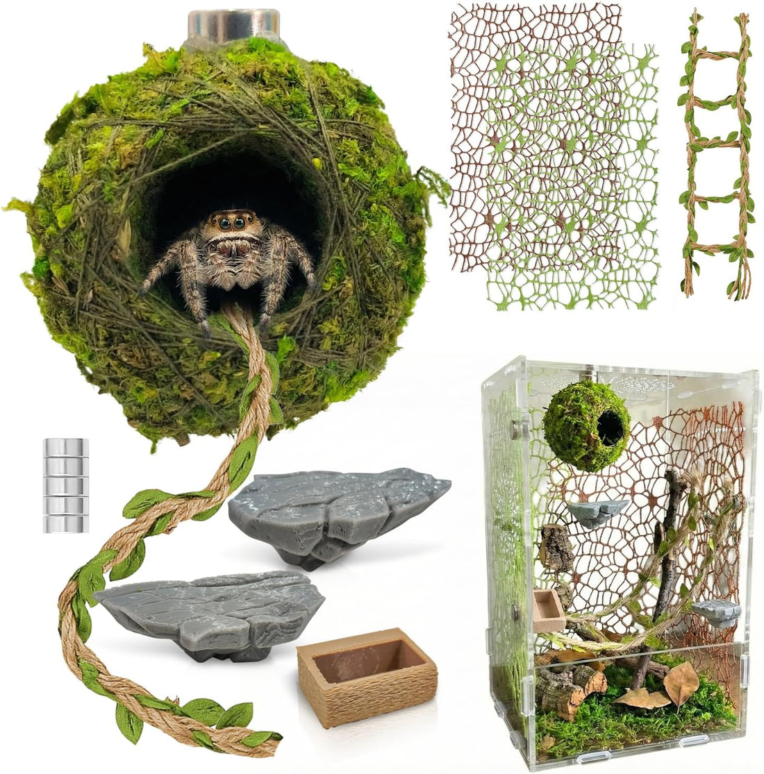 Jumping Spider Enclosure Accessories Kit - Magnetic Moss Ball Hideout