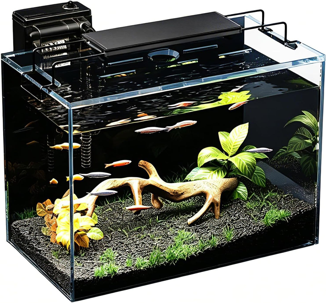 5 Gallon Fish Tank Kit with Filter Light with Timer, Lid Rimless Glass