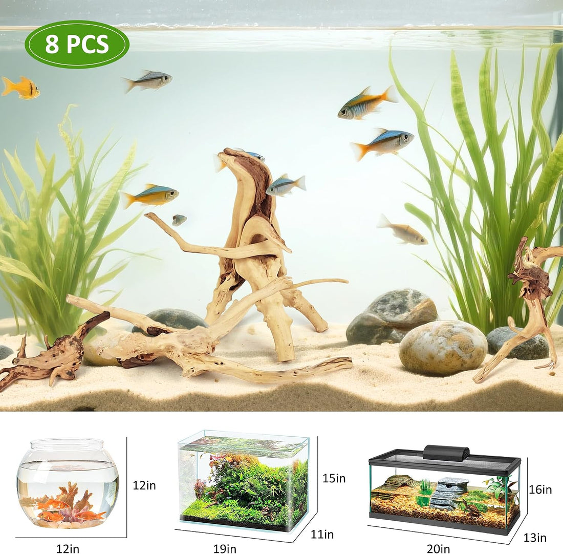 8 Pcs Natural Spider Woods, 4-8 Inch