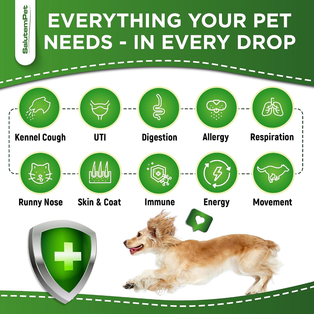 Natural Antibiotics for Dogs to Help with Allergies and UTIs