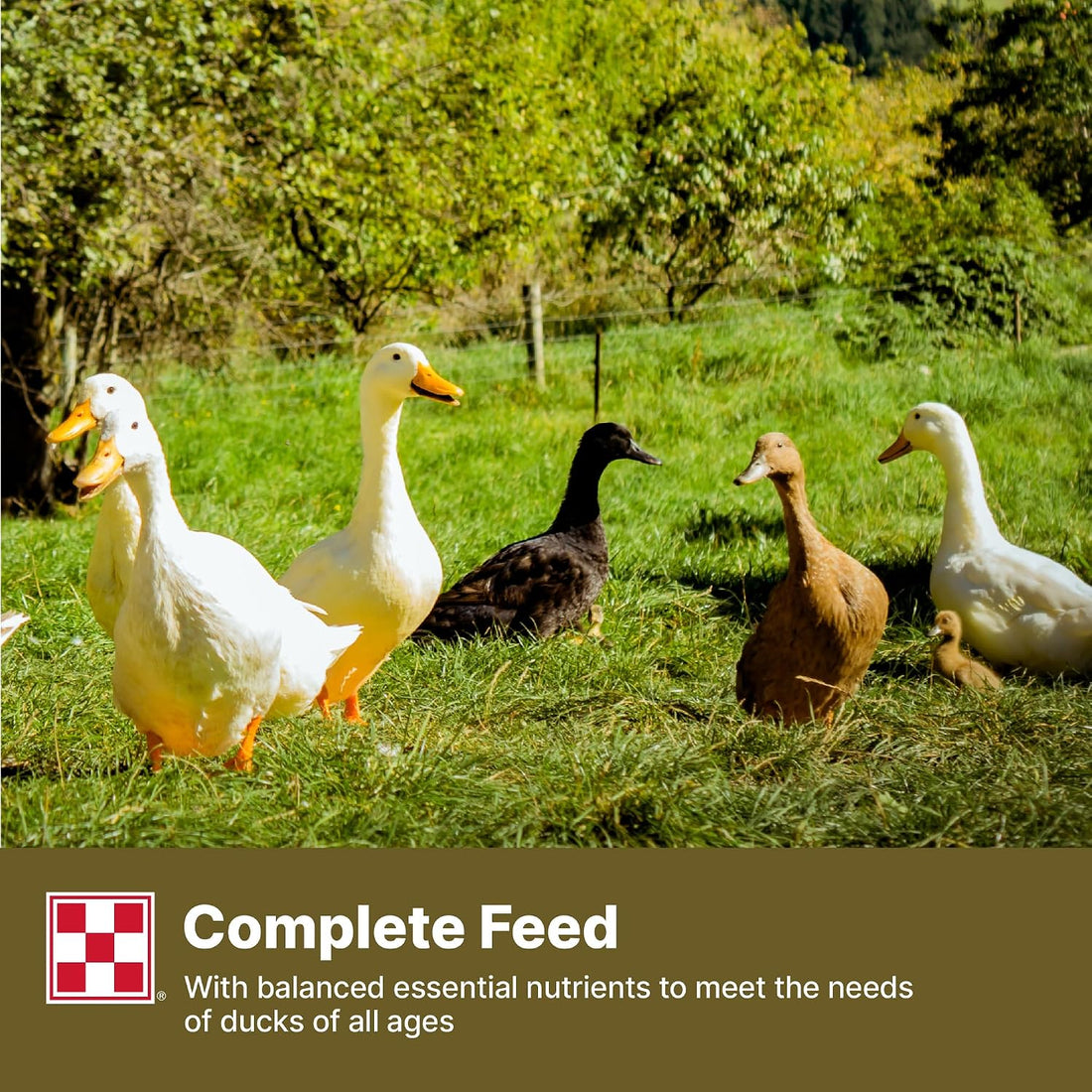 Purina | Nutritionally Complete Duck Feed for All Life-Stages