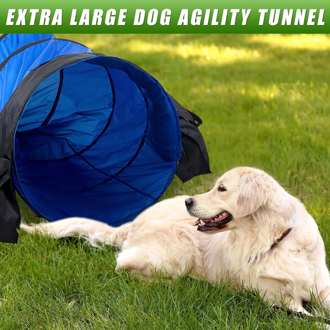 28 in 18 Foot Blue Extra Large Dog Agility Tunnel with Sandbags Dogs
