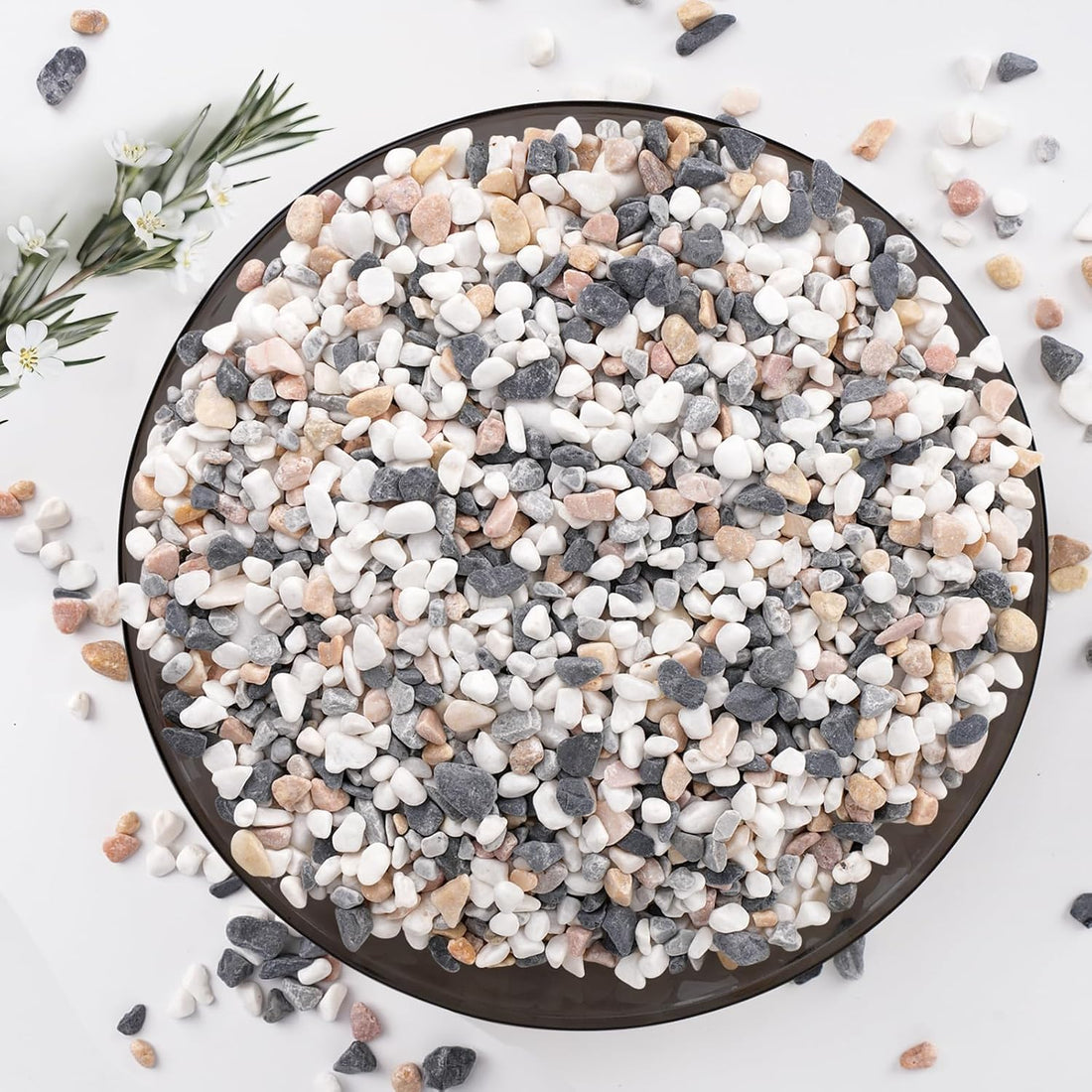2.5 lbs Coarse Sand for Plants