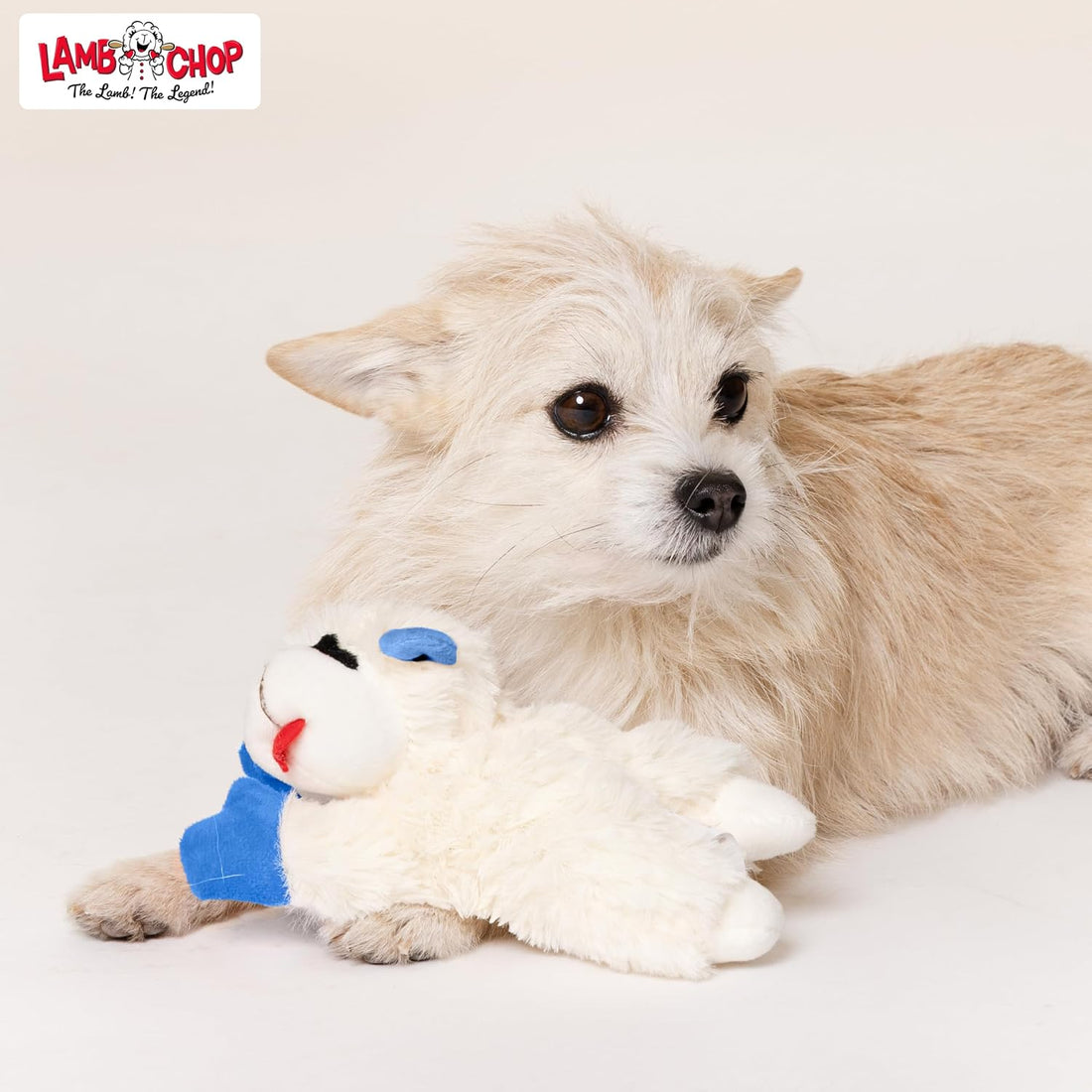 Multipet Lamb Chop Dog Plush Toy - Durable Lining - 10.5" - Blue Paws