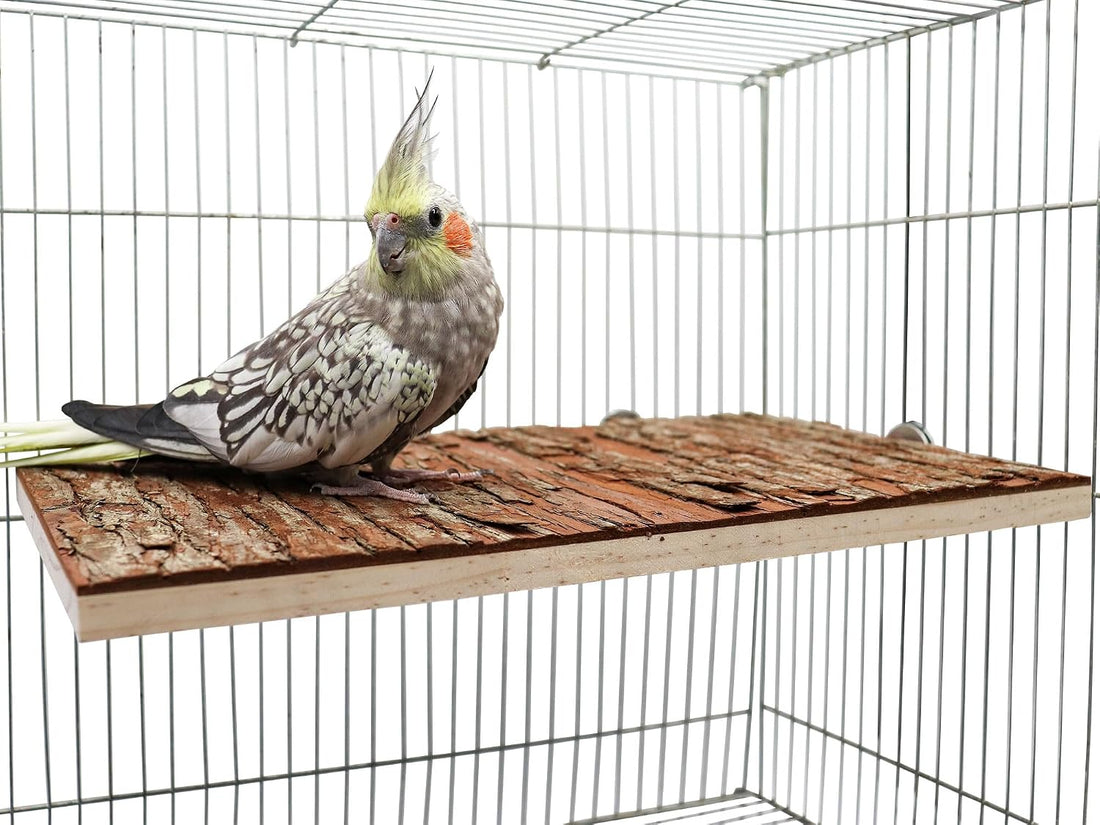 13.6 × 7.9 inch Large Bird Perch Stand Platform