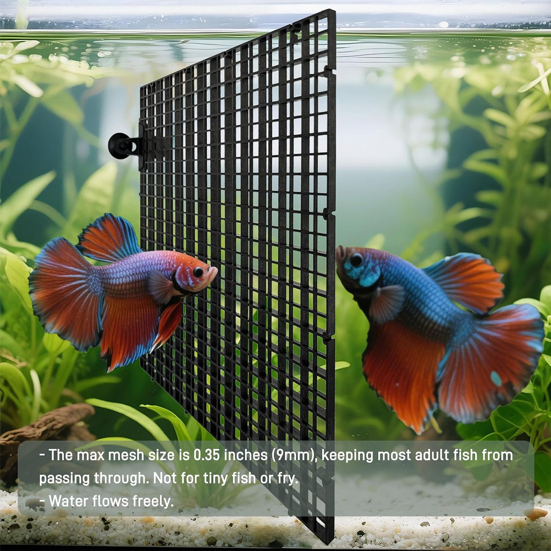 Black Aquarium Divider Panel Fish Tank Separator Plastic Grid