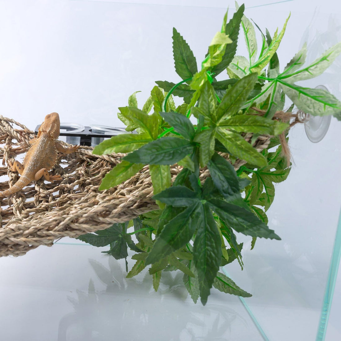 SLSON Reptile Plants Hanging Silk Terrarium Plants with Suction Cup