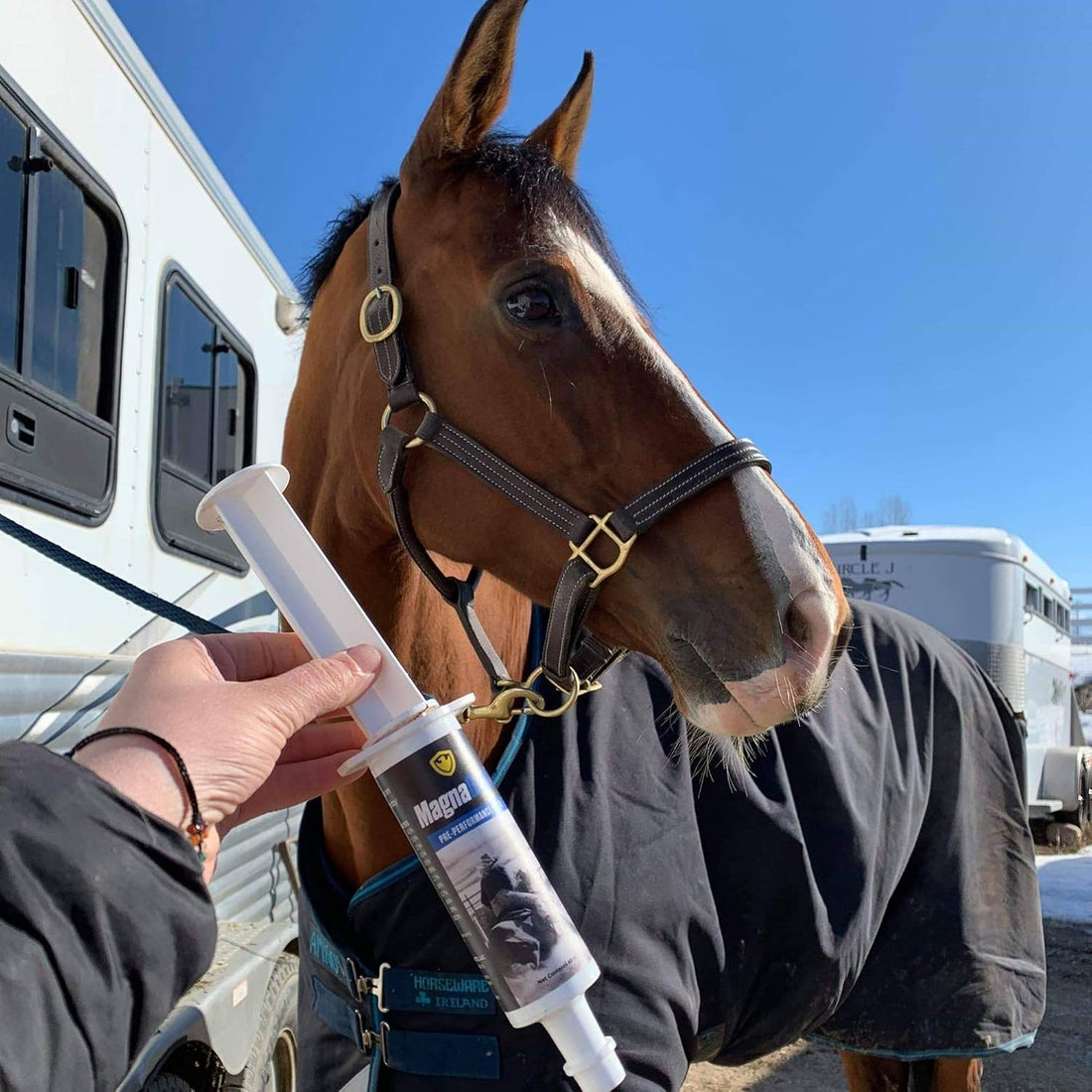 Pre-Performance Paste for Horses - All Natural Calmer, Acid Buffer