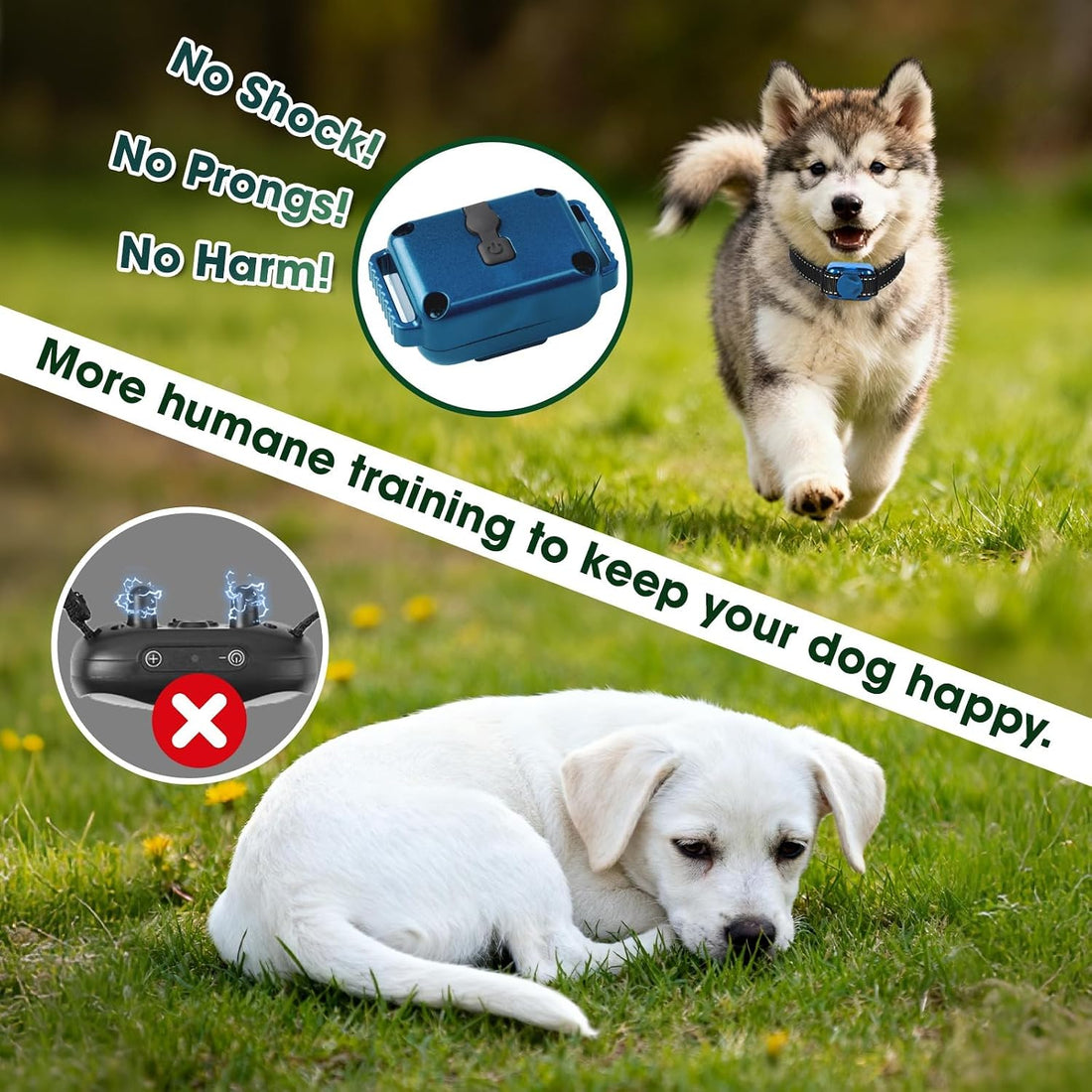 Smallest No Shock Dog Training Collar