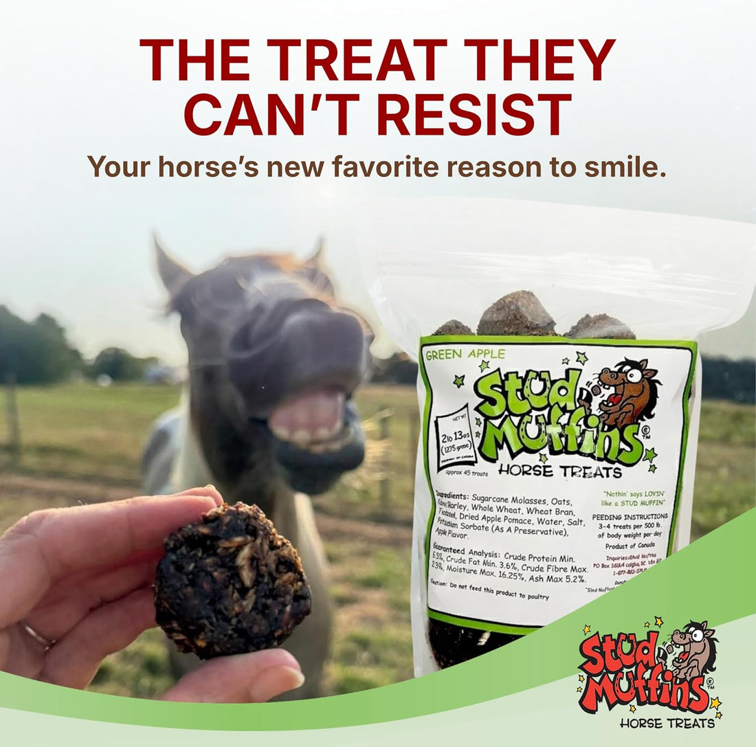 Stud Muffins Horse Treats, Green Apple Flavor